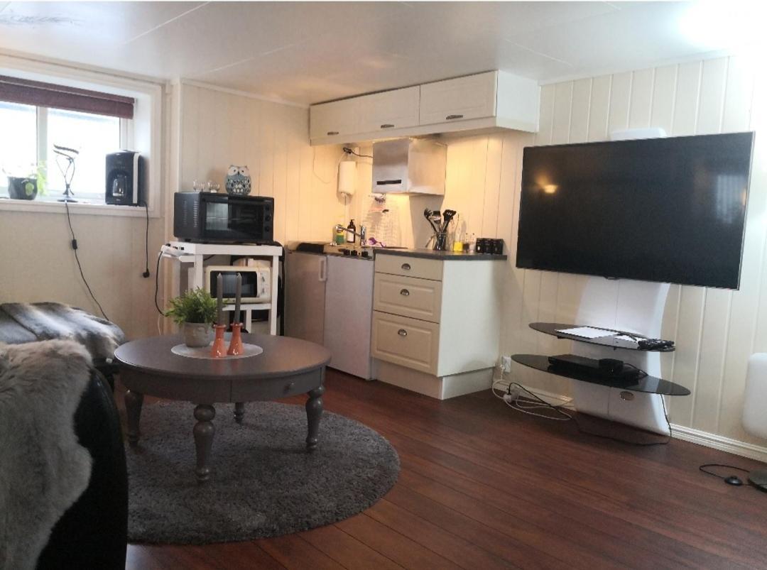 Sentral Studioleilighet Ved Stranden Og Hvalsenter Nb Ma Vaskes Etter Endt Leie Eller Betale Rengjoringshjelpen 500 Kr Andenes Εξωτερικό φωτογραφία