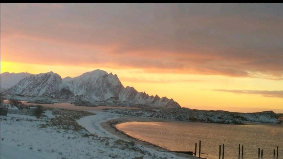 Sentral Studioleilighet Ved Stranden Og Hvalsenter Nb Ma Vaskes Etter Endt Leie Eller Betale Rengjoringshjelpen 500 Kr Andenes Εξωτερικό φωτογραφία